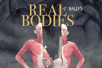 Real Bodies at Ballys Hotel and Casino Las Vegas