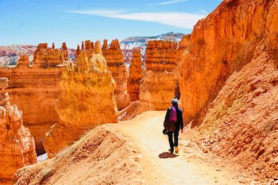 Best Las Vegas To Bryce Canyon Tours 2023